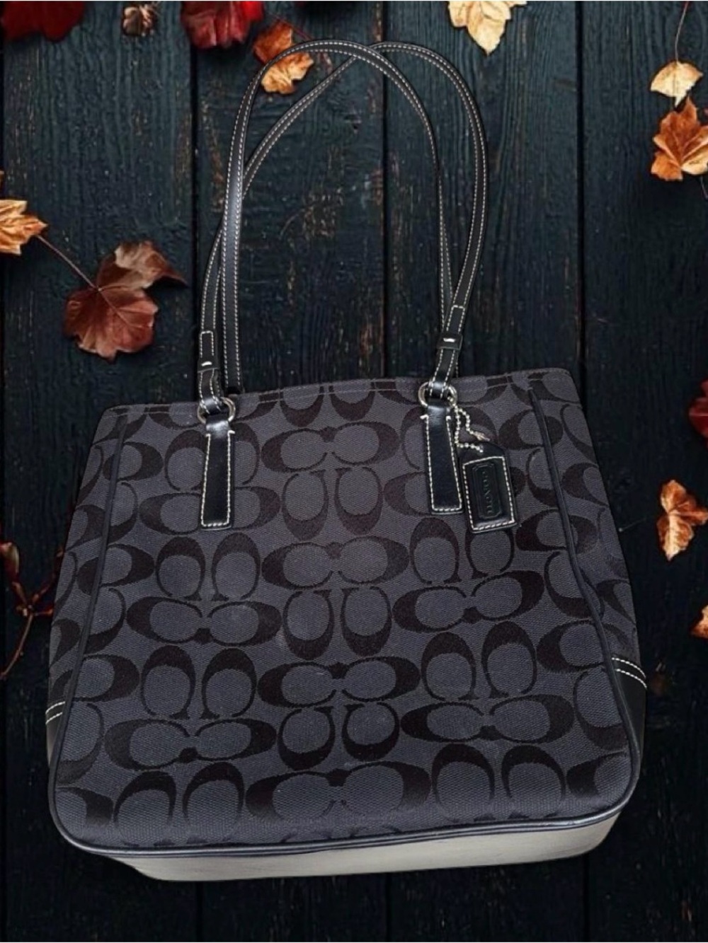 Coach Black & Charcoal Signature Canvas Tote